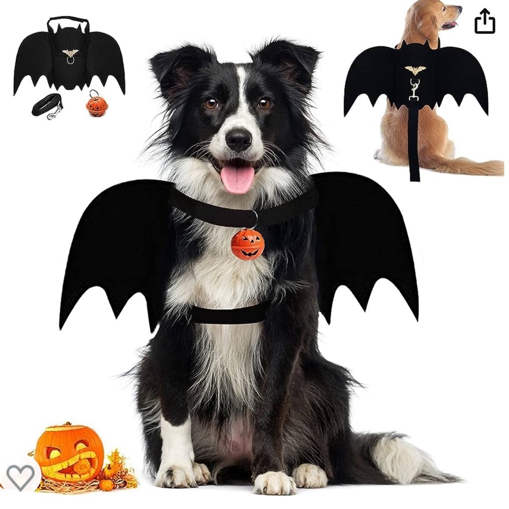 NWT pet  Dog Cat Halloween bat costume with lead leash Small Goth
